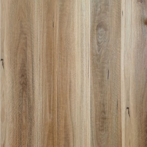 D3002 Spotted Gum