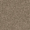 Soft Sunrise Tiles
