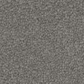 Winter Charm carpet
