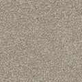 Winter Charm carpet