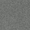 Winter Charm carpet