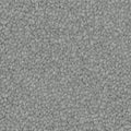 Winter Charm carpet