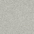 Winter Charm carpet