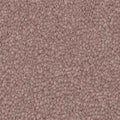 Winter Charm carpet