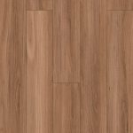 Grey Ironbark
