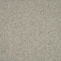 Elmsford Carpet 