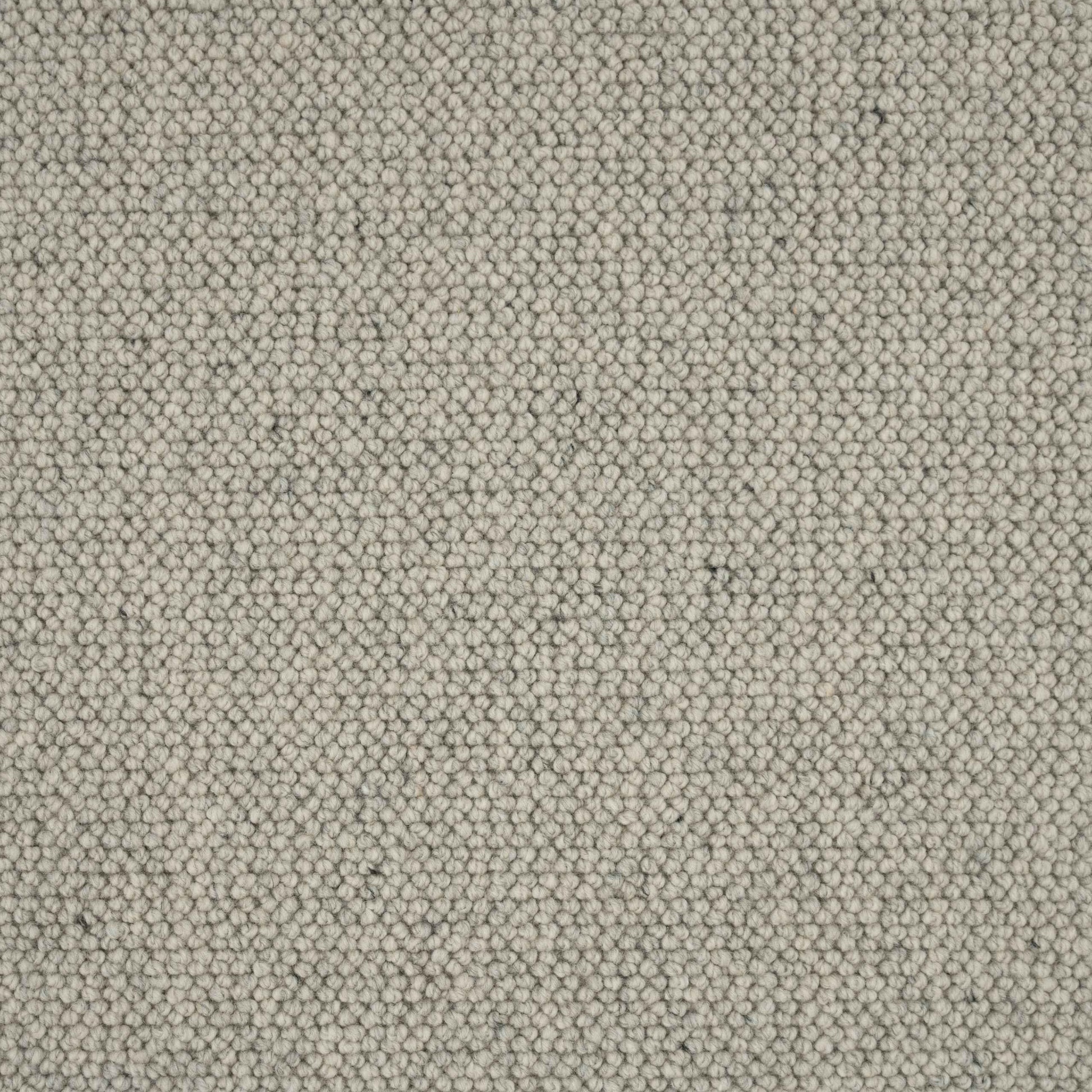 Elmsford Carpet 