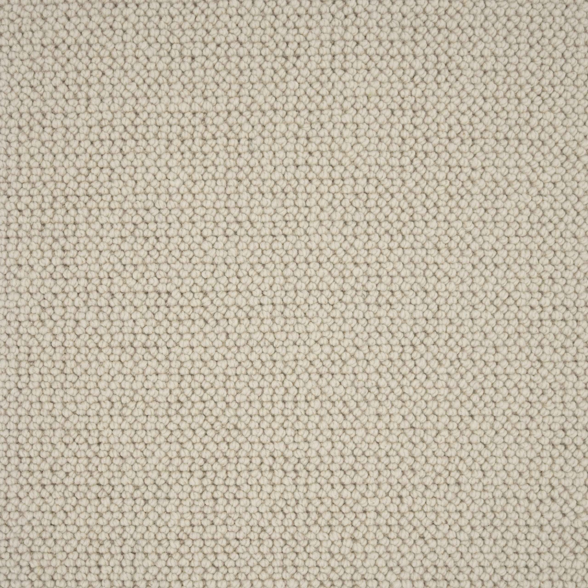 Elmsford Carpet 