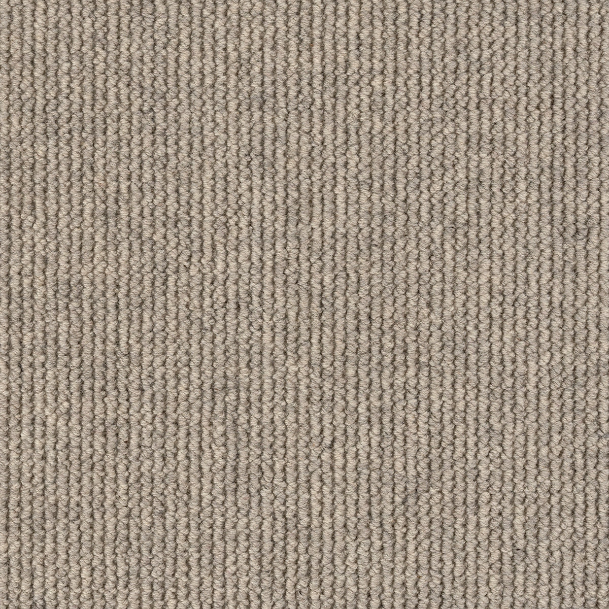 Dawson Falls Carpet Flooring