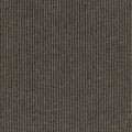 Dawson Falls Carpet Flooring