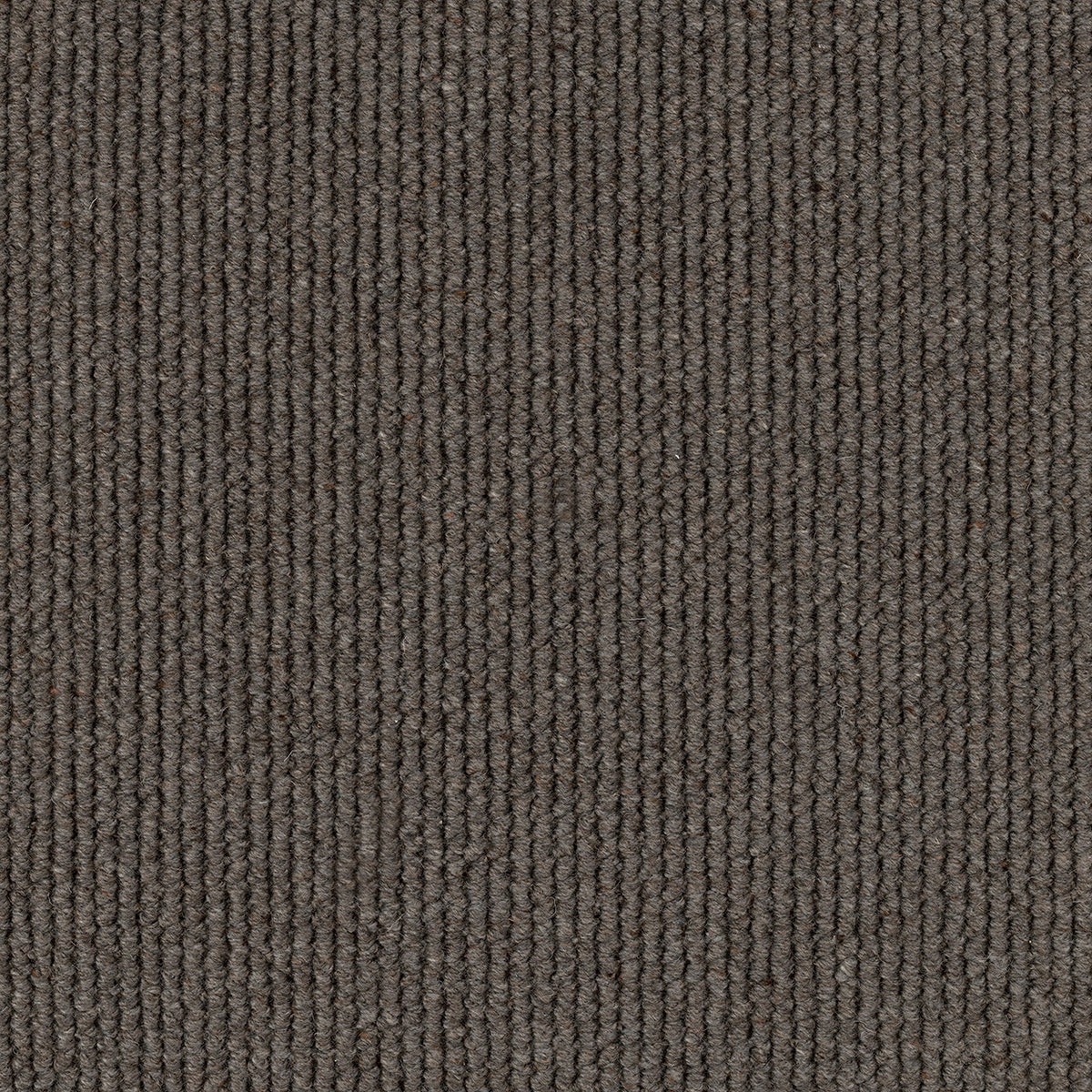 Dawson Falls Carpet Flooring