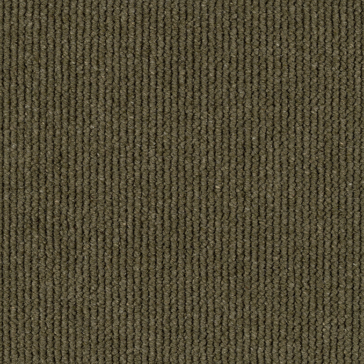 Dawson Falls Carpet Flooring