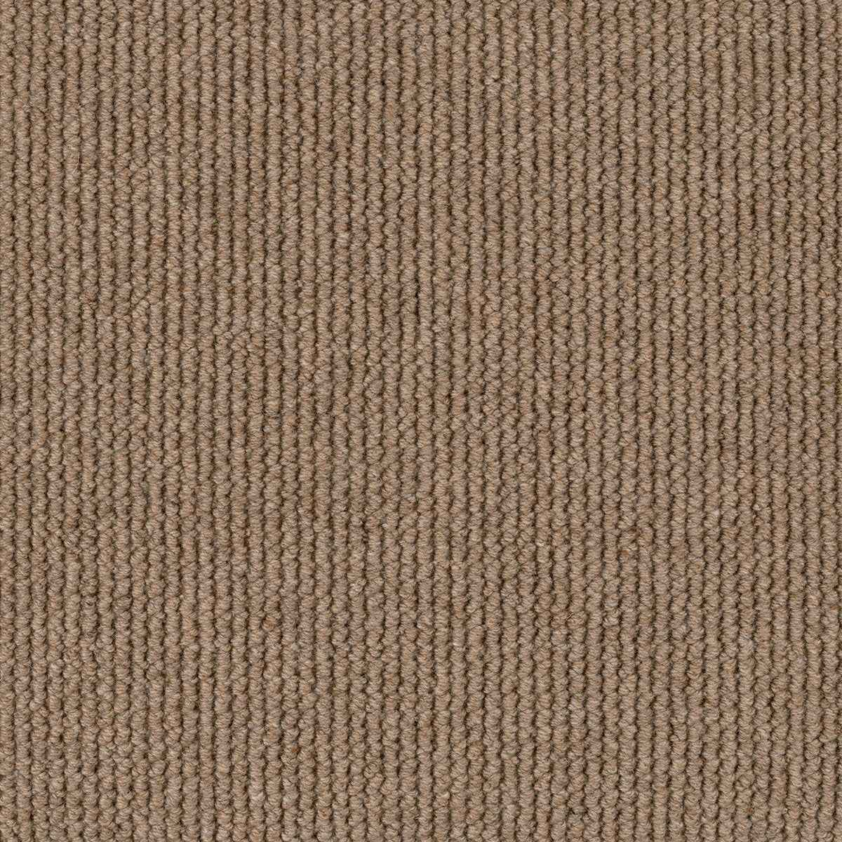 Dawson Falls Carpet Flooring