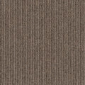 Dawson Falls Carpet Flooring