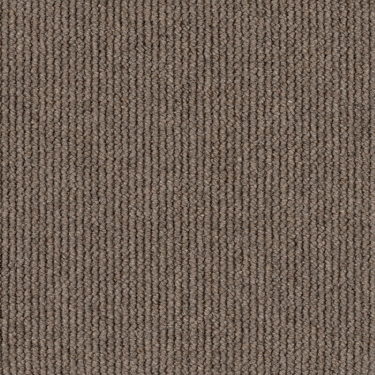 Dawson Falls Carpet Flooring