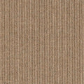 Dawson Falls Carpet Flooring