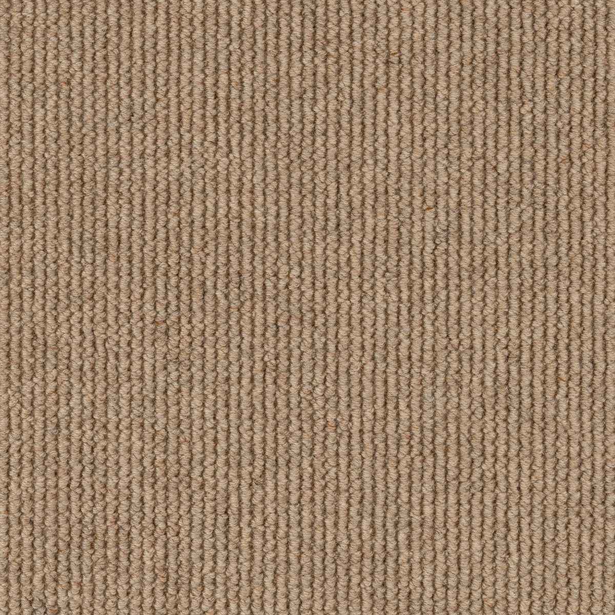 Dawson Falls Carpet Flooring