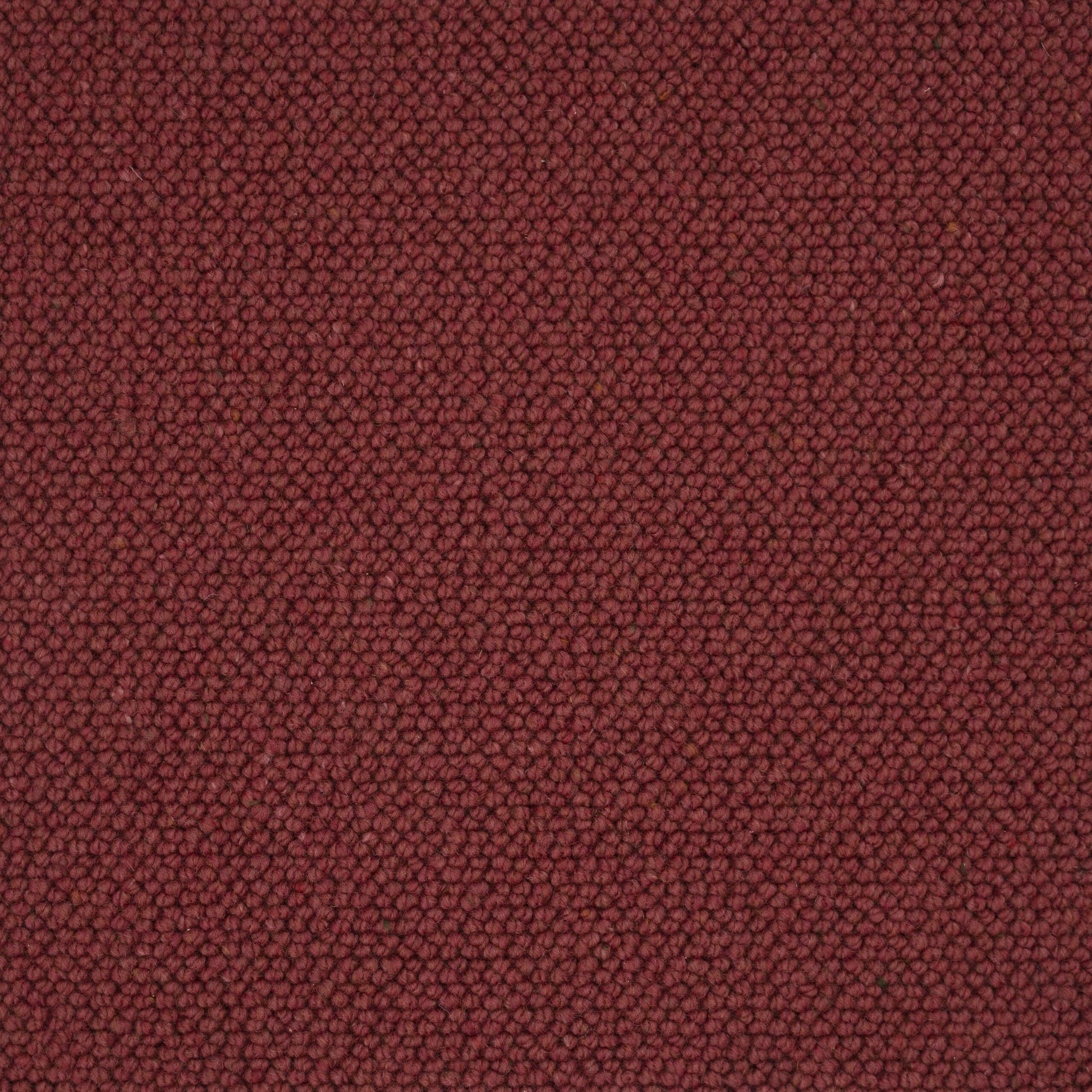 Elmsford Carpet 