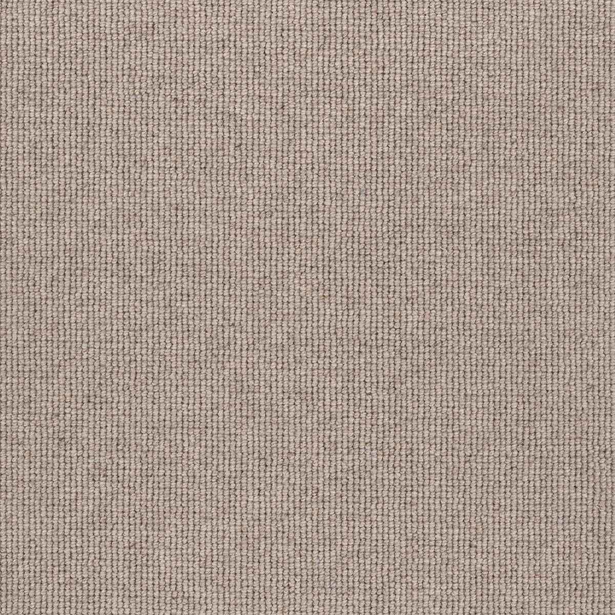 Hause Carpet