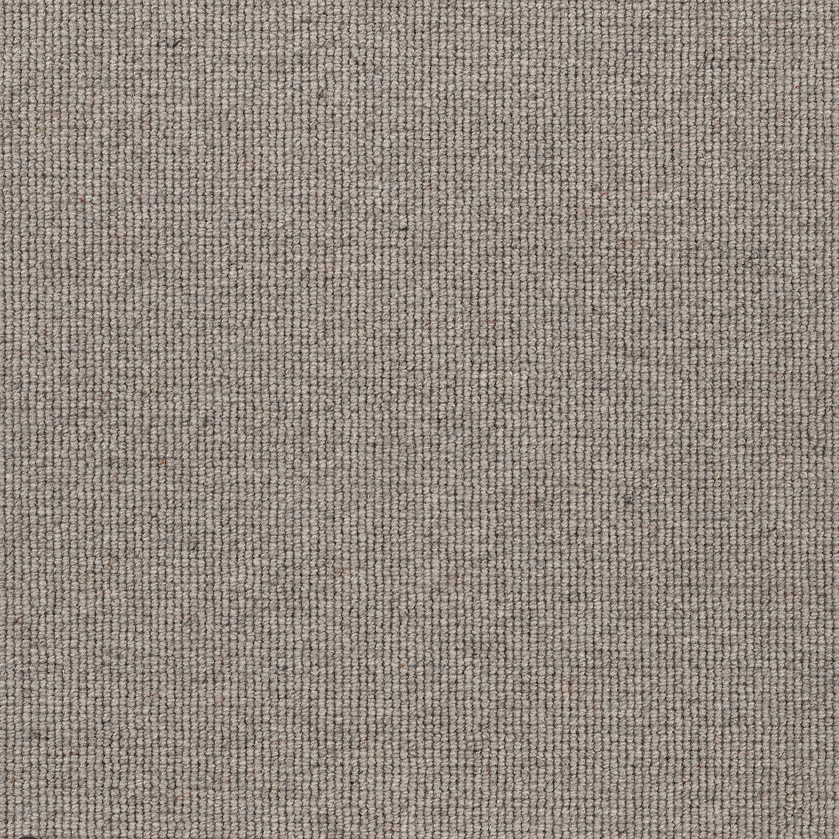 Hause Carpet