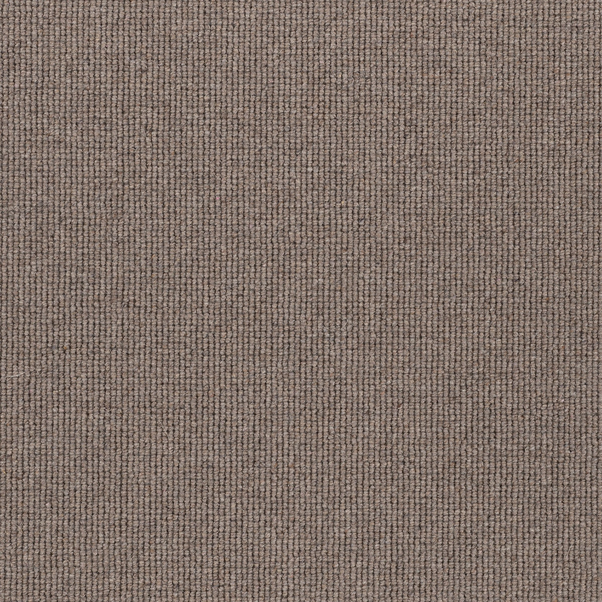 Hause Carpet