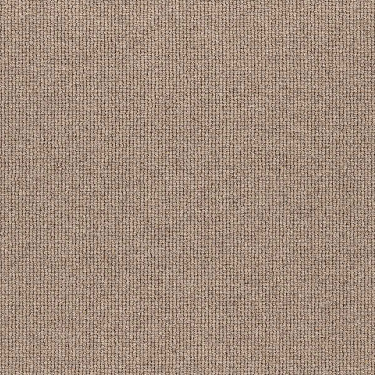 Hause Carpet