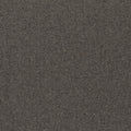 Hause Carpet