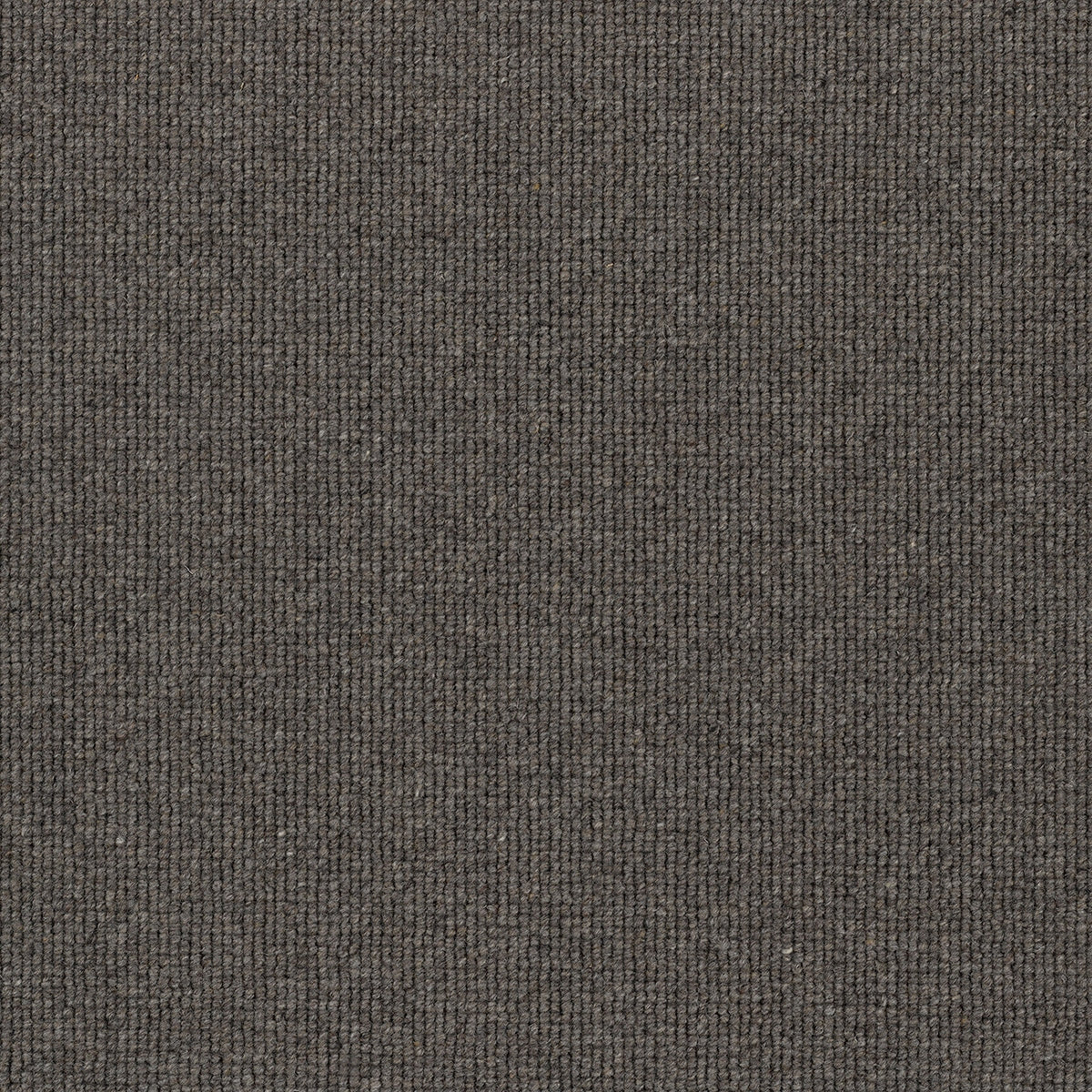 Hause Carpet
