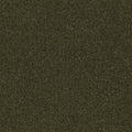 Hause Carpet