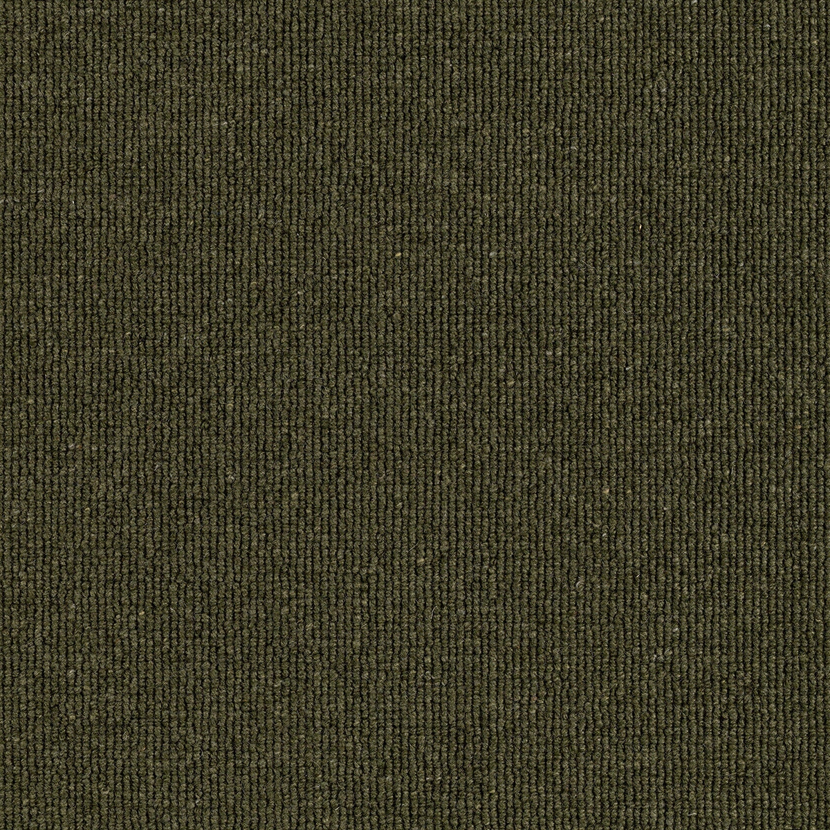 Hause Carpet