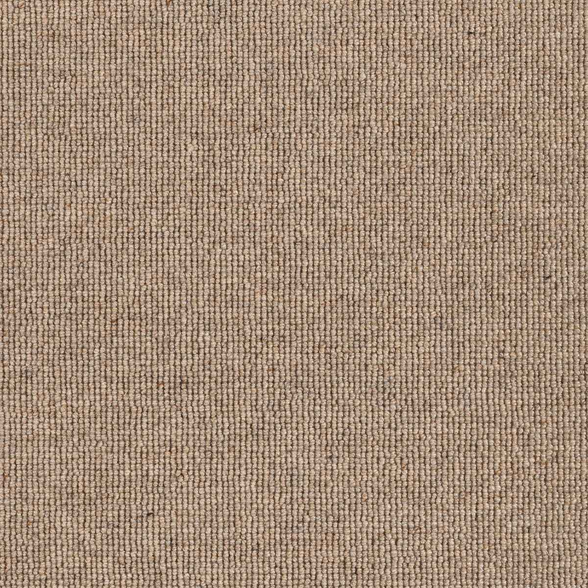Hause Carpet