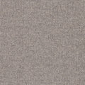 Hause Carpet