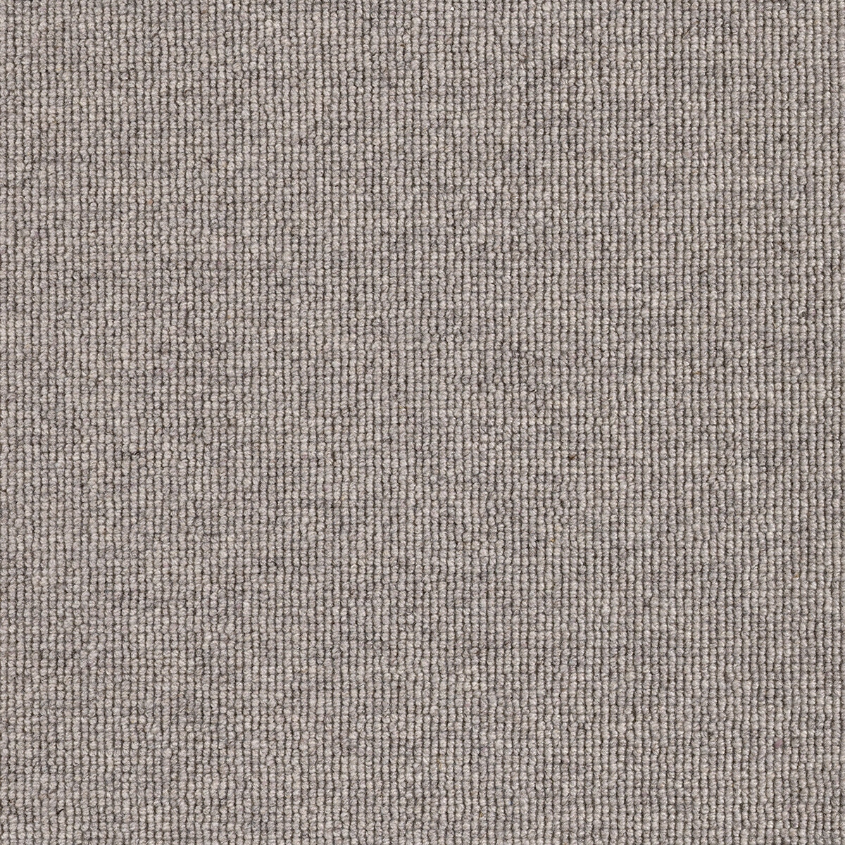 Hause Carpet