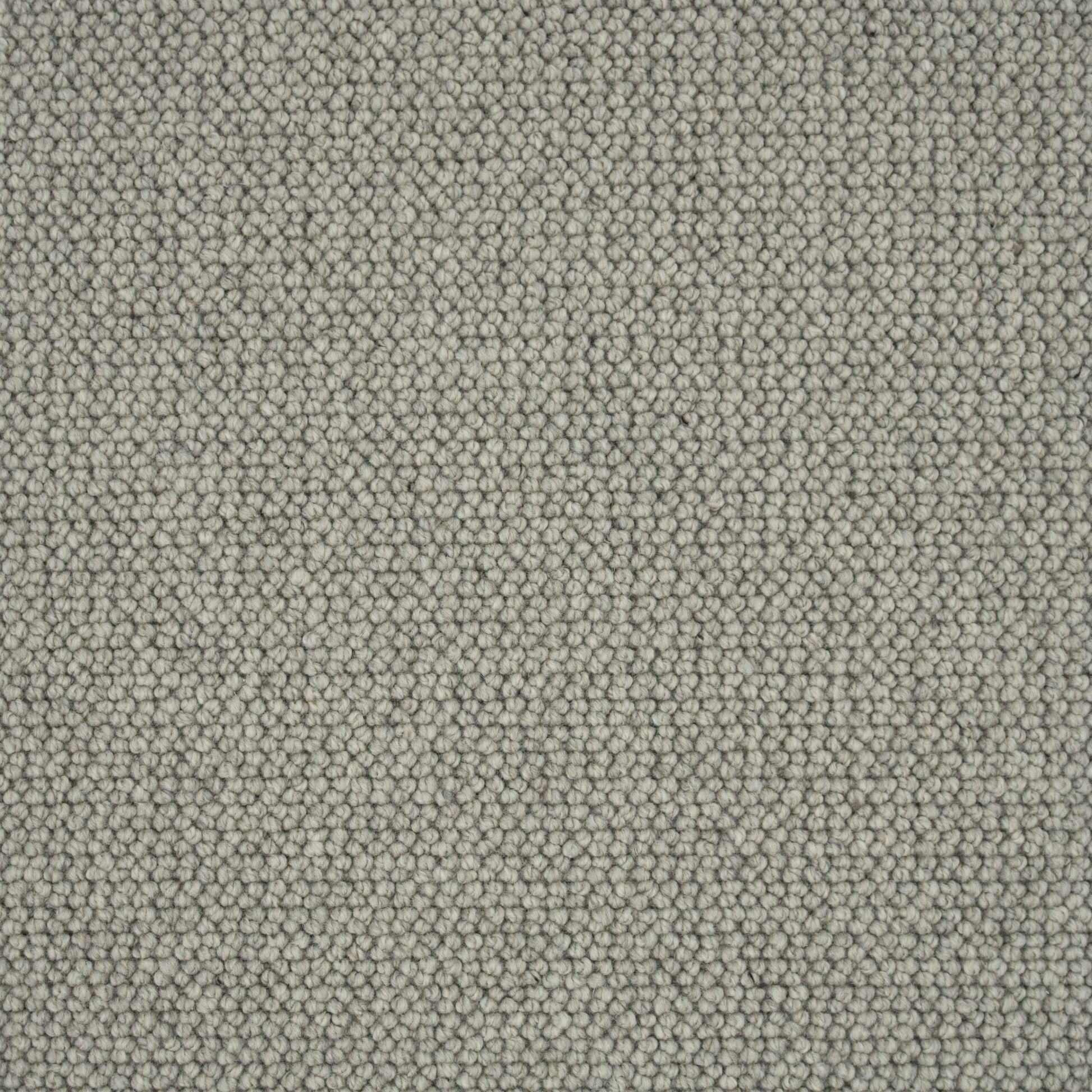 Elmsford Carpet 