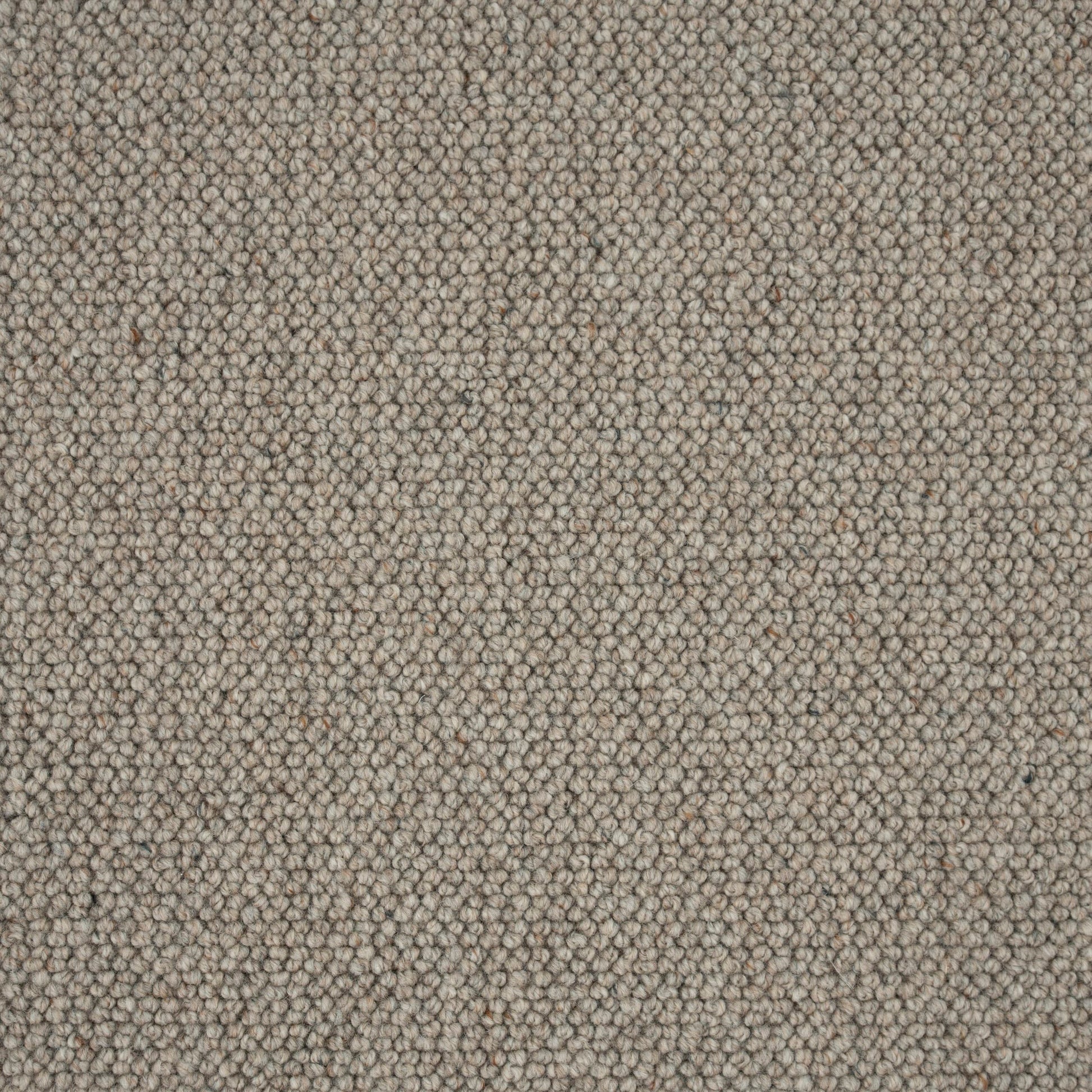 Elmsford Carpet 