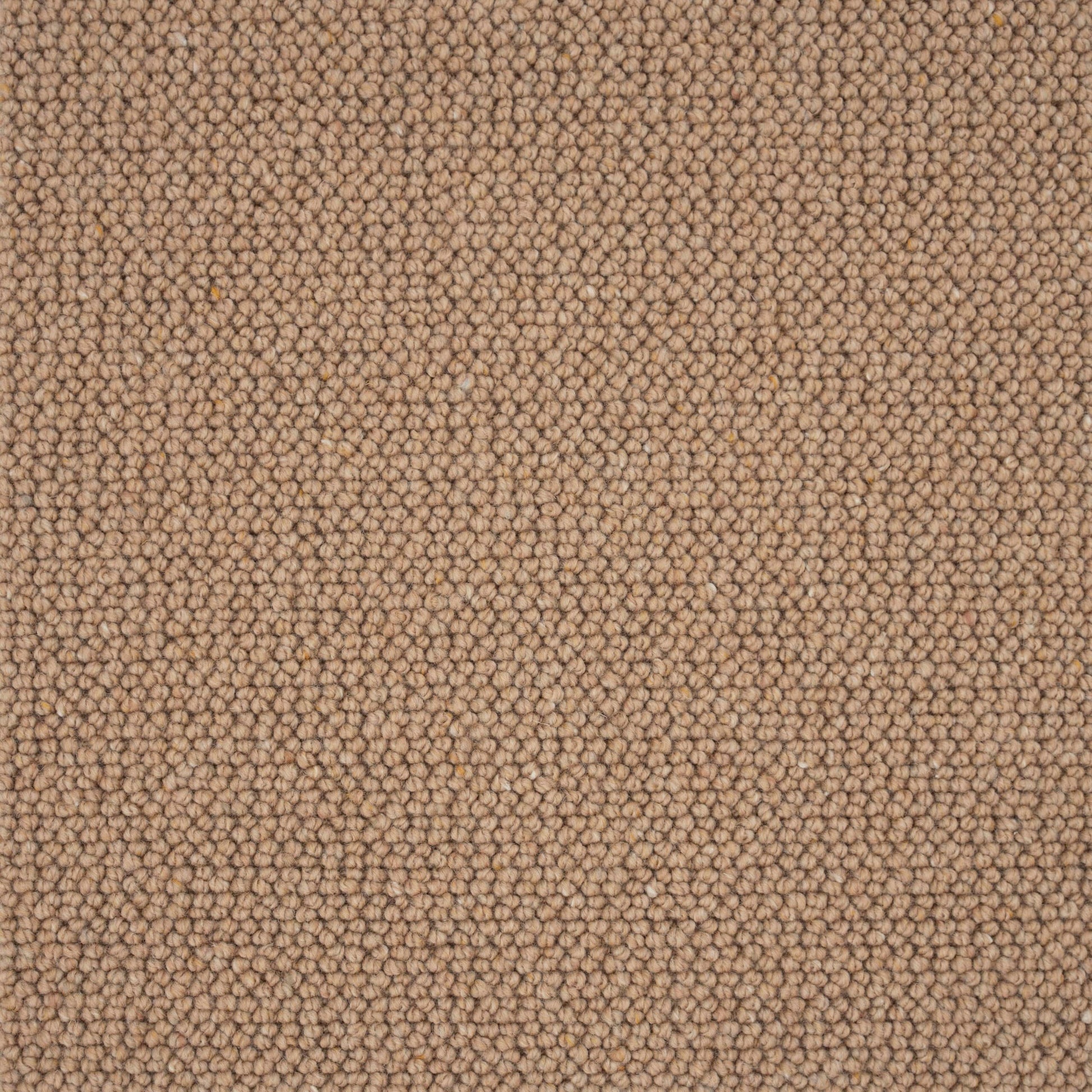 Elmsford Carpet 