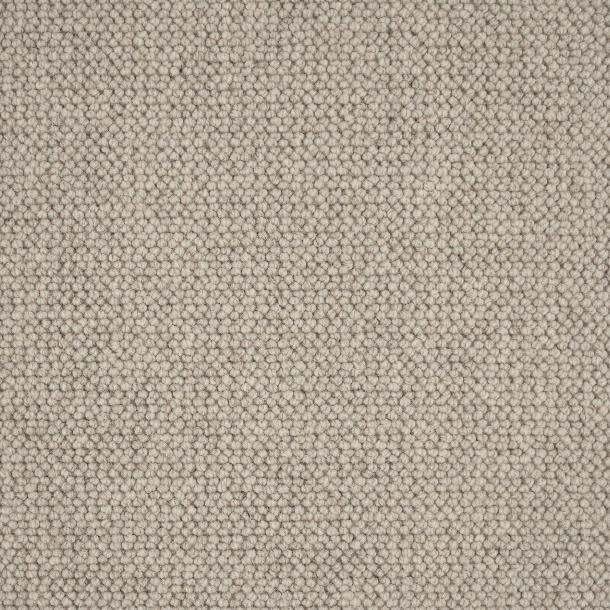 Elmsford Carpet 