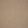 Elmsford Carpet 