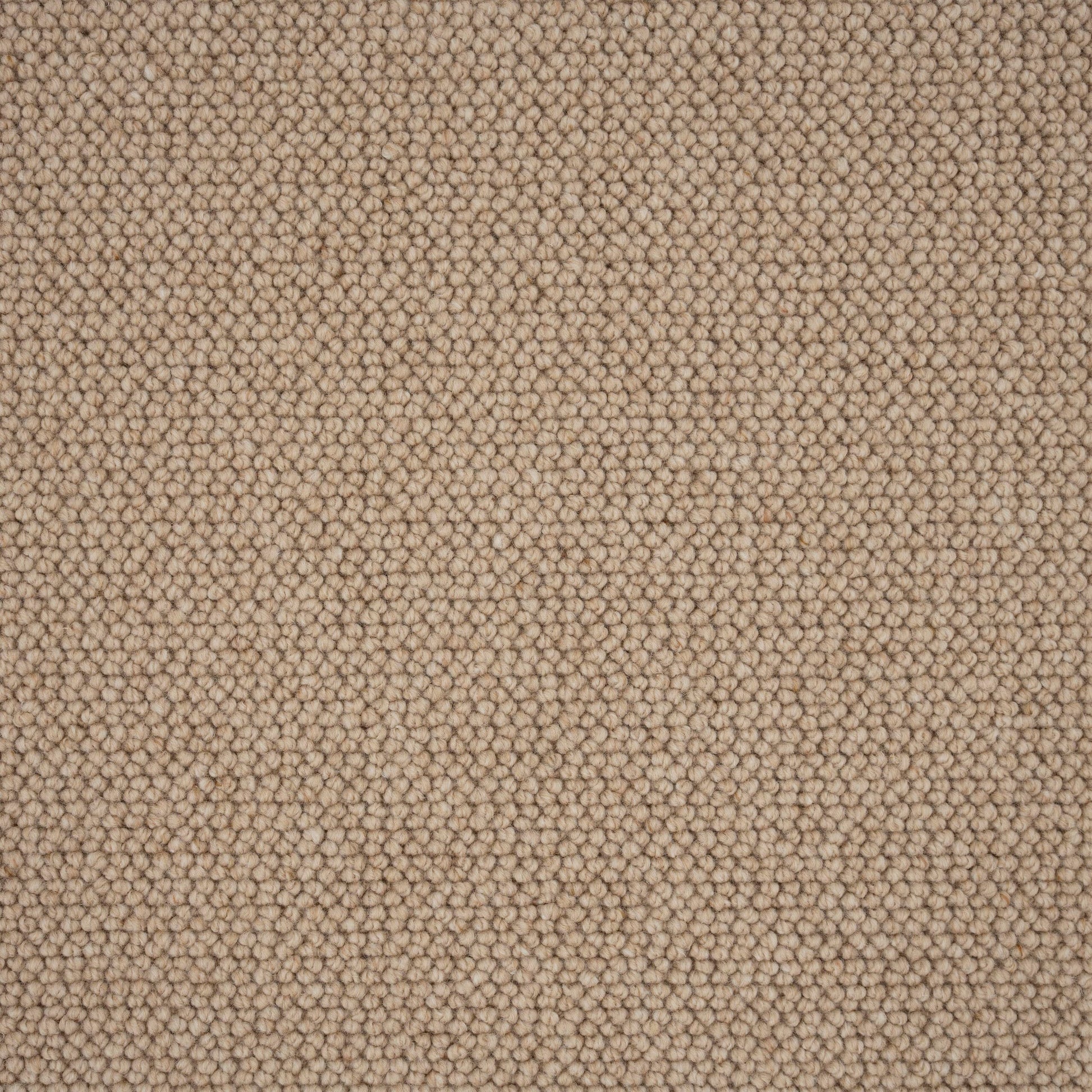 Elmsford Carpet 