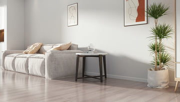 Modern living room with a gray sofa, small table, and potted plant.