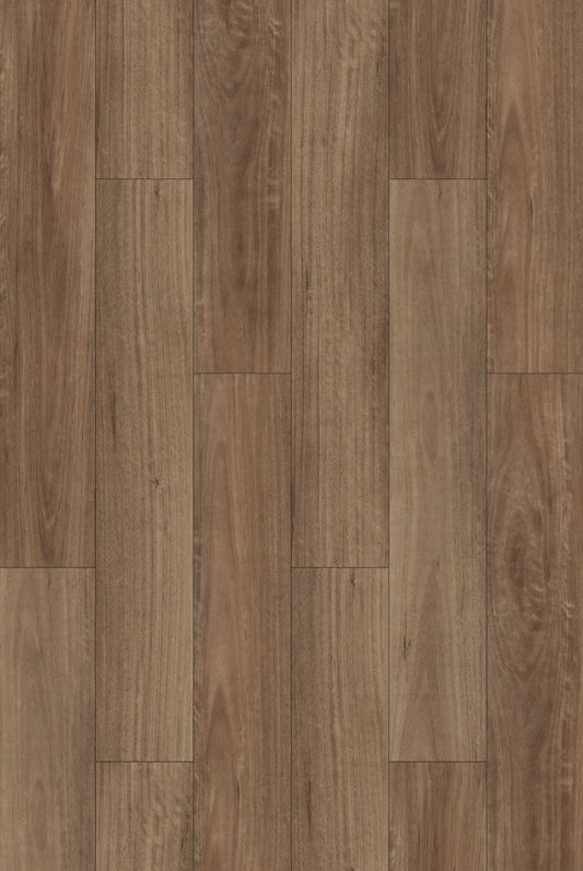 Spotted Gum