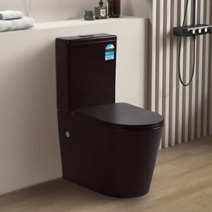 Avis KDK022R MB Rimless Toilet Matt Black 1