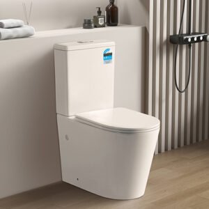 Avis KDK022R Rimless Toilet 1