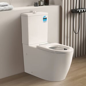 KDK800 Asta Care Rimless Toilet Suite 1