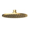 Cora Black Round Shower Head Brushed Gold
