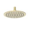 Dove Round SS Shower Head 250mm Brushed Gold