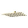 Nova Square SS Shower Head 250mm Brushed Gold