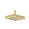 Rosa Square Plastic Shower Head 200mm Brushed Gold