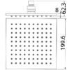 Eden Square Brass Shower Head