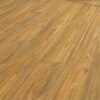 Spotted Gum